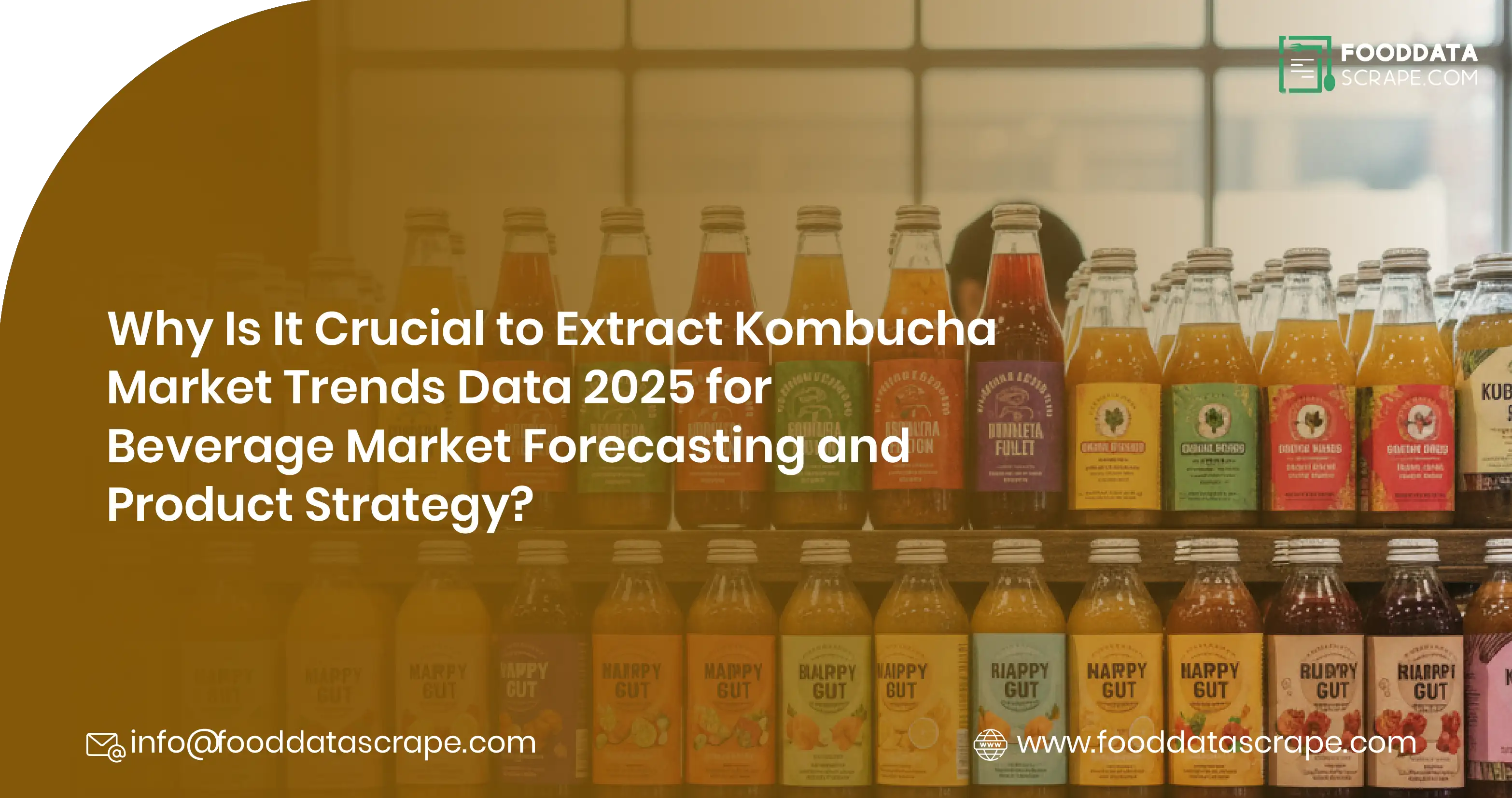 Kombucha Market Trends 2025